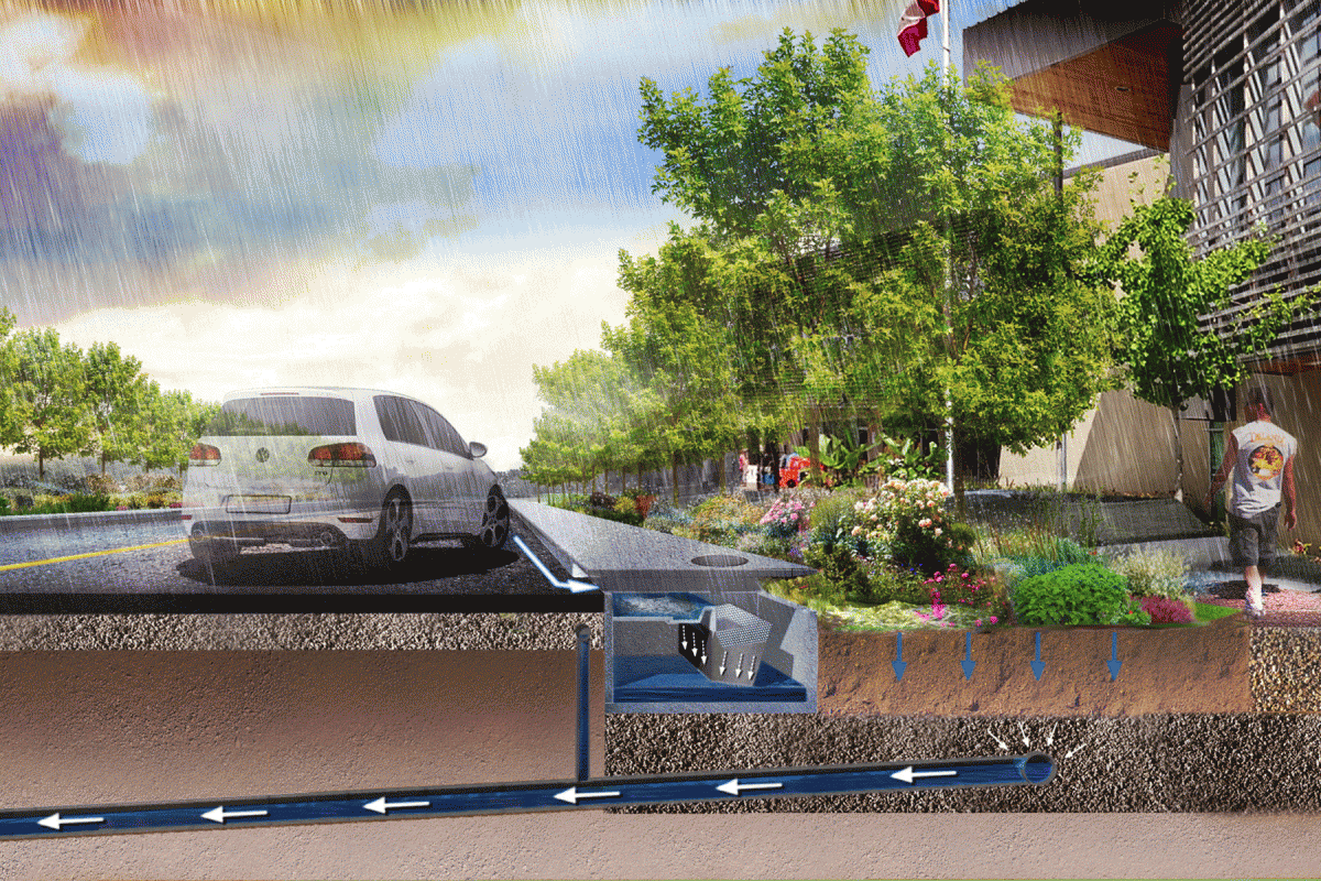 Schollen & Company Inc. Bayview Glen SNAP Schollen & Company Inc.